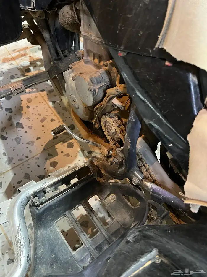 دباب 6