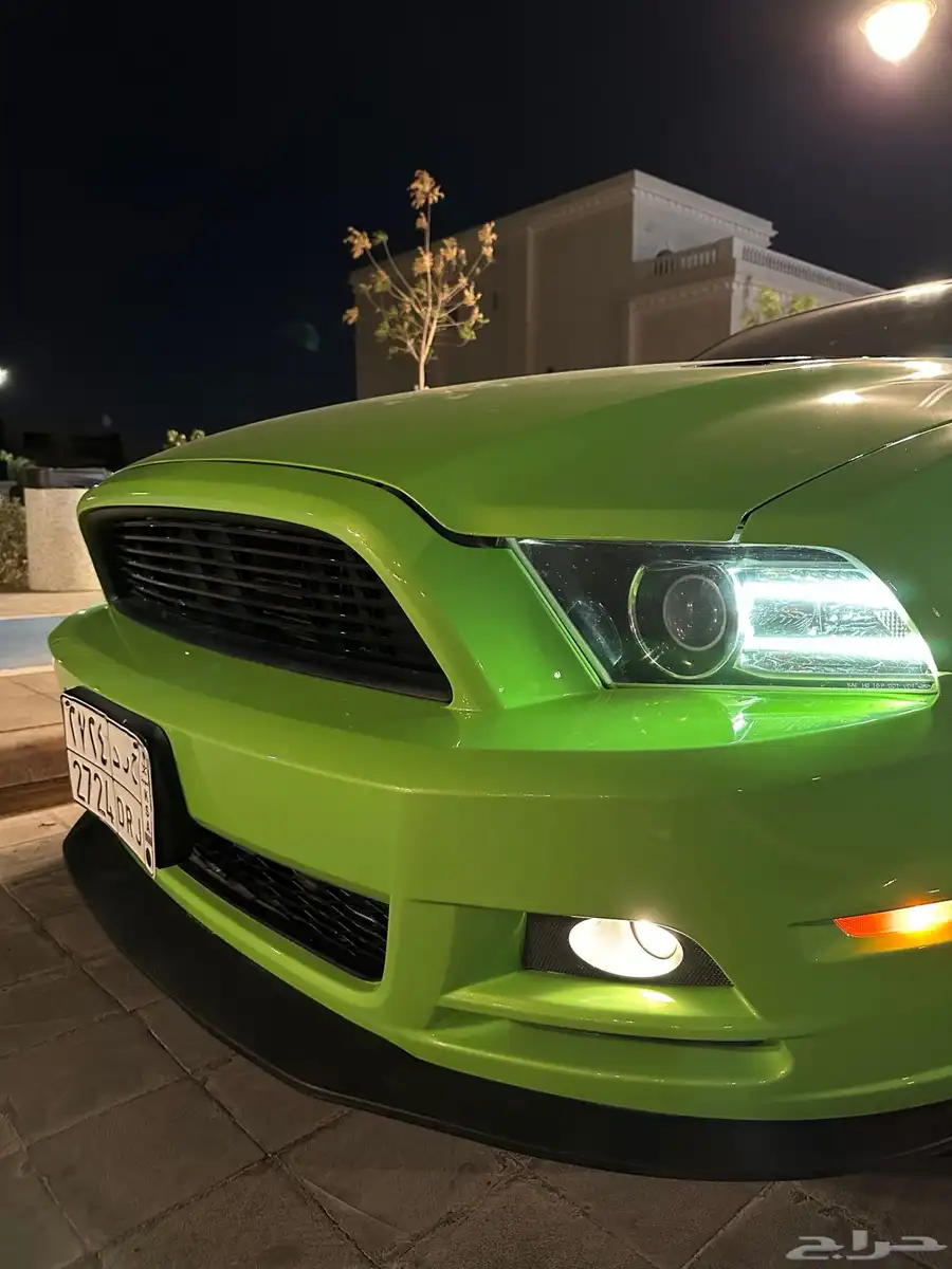 موستنج GT 2013 بانوراما 6