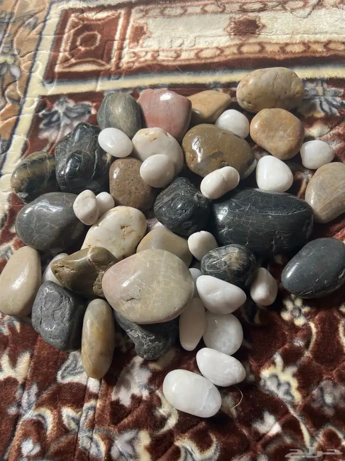 حامله نباتات خشب من ايكيا ومعها فازات زحاج كبيره 2