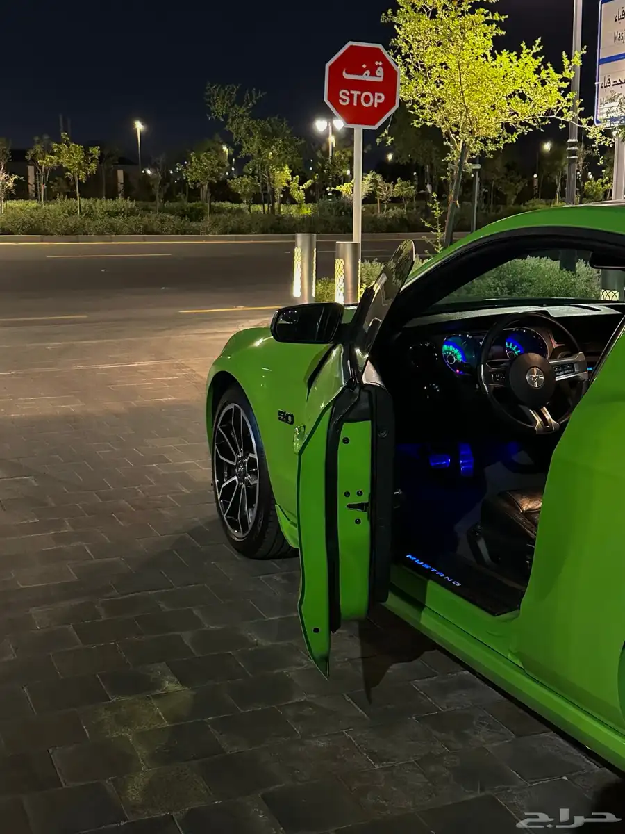 موستنج GT 2013 بانوراما 13
