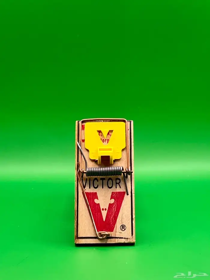 فخ او مصيدة قديمة تراثية مخزنة 0