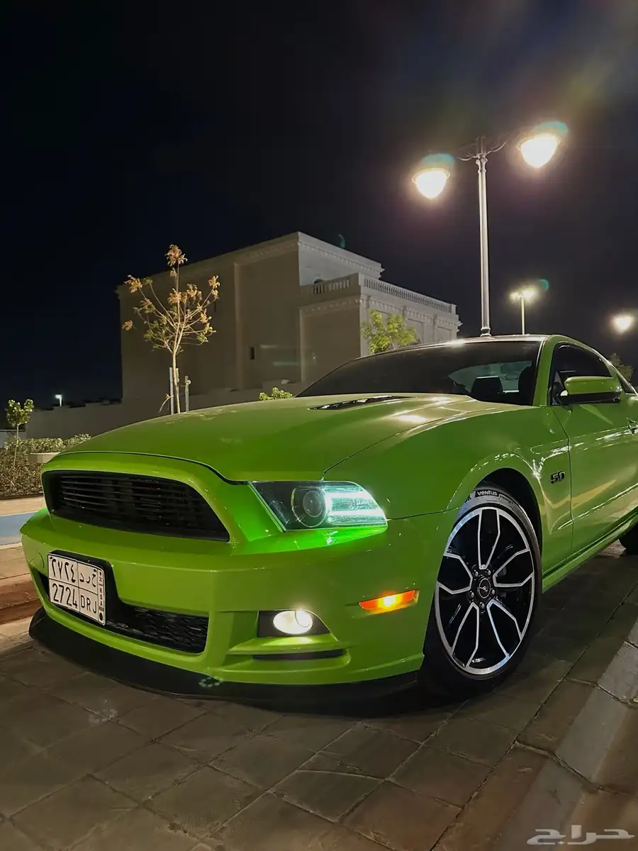 موستنج GT 2013 بانوراما 3