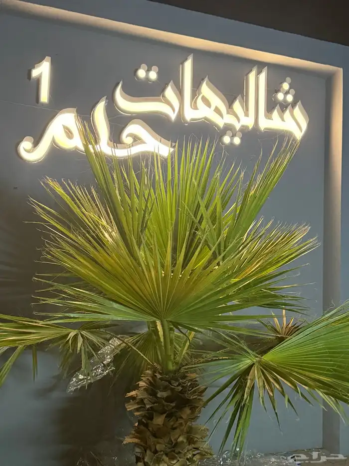 شاليهات حلم للايجار اليومي بيشة 5