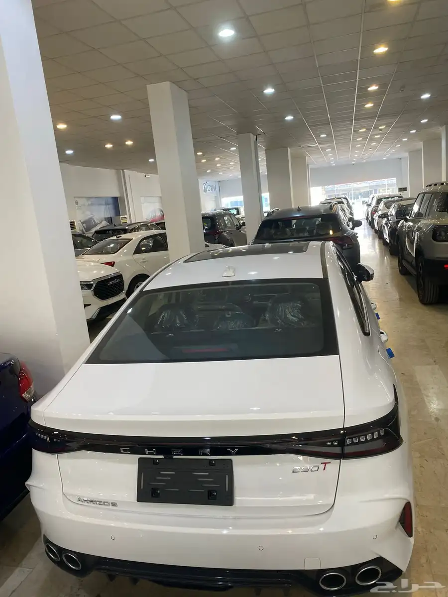 شيري اريزو 8 2025 3