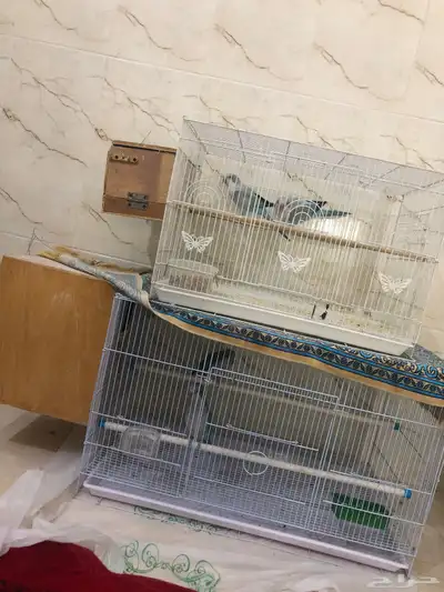زوجين كويكر منتجه بسعر جدا مناسب(تم البيع ) 0