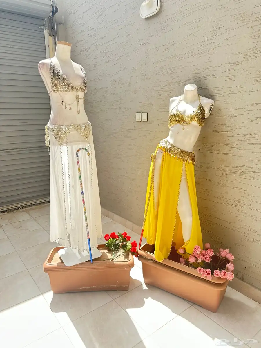 الرياض وشحن لكل مملكه 17