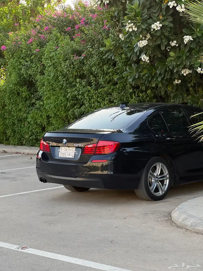 تم البيع للمزيد تابع الحساب 6