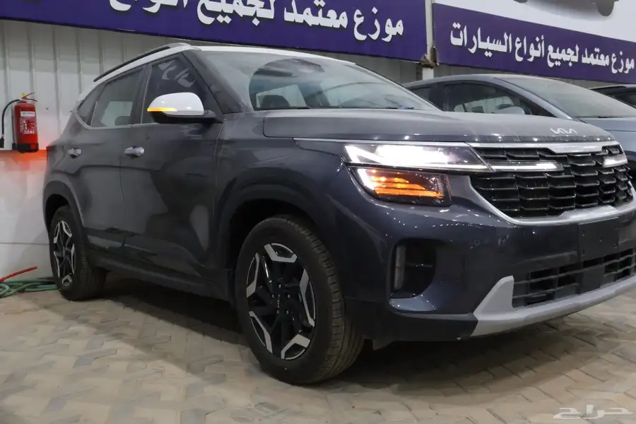 سيلتوس فل 2025 3