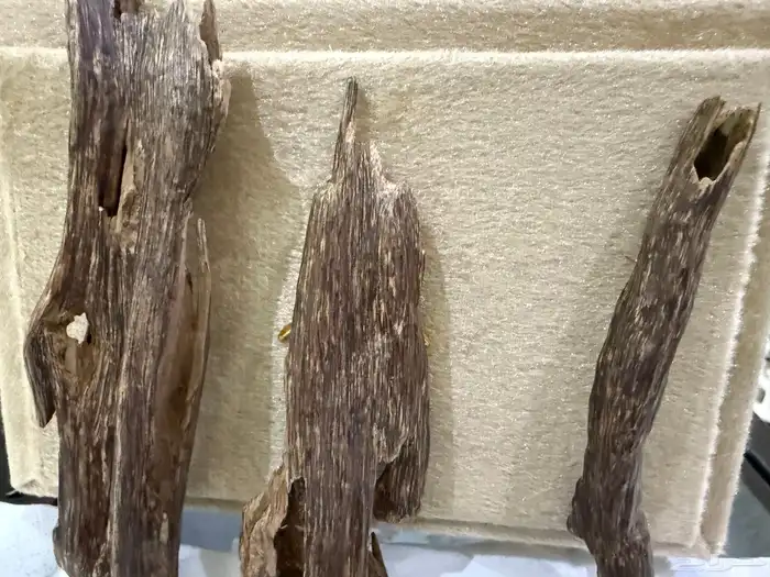 اسام هندي طبيعي ( طبيعي ) مباع مباع مباع 2