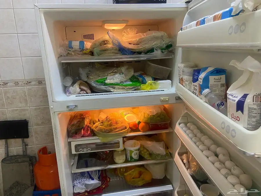 النزهه 1