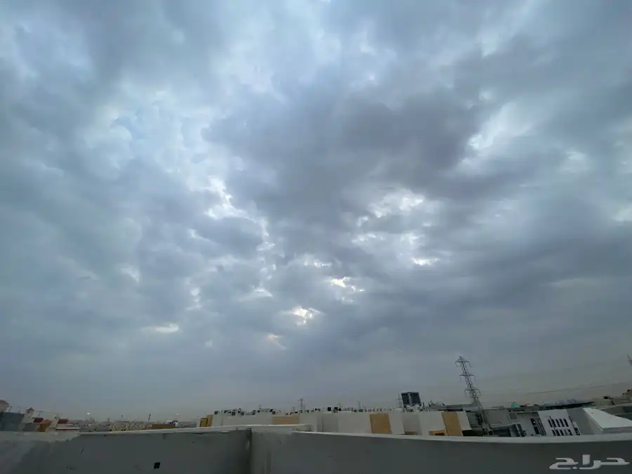 ادورلي على سيارة رخيصه 0