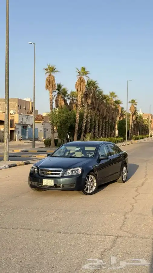 كابرس 2014 1