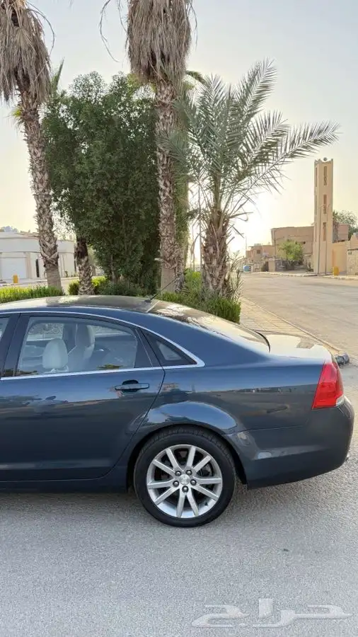 كابرس 2014 4