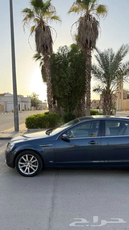 كابرس 2014 3