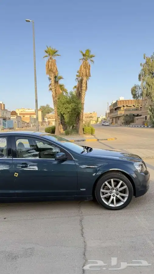 كابرس 2014 5