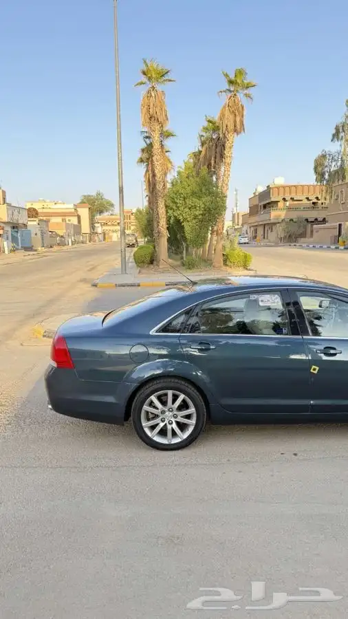 كابرس 2014 6