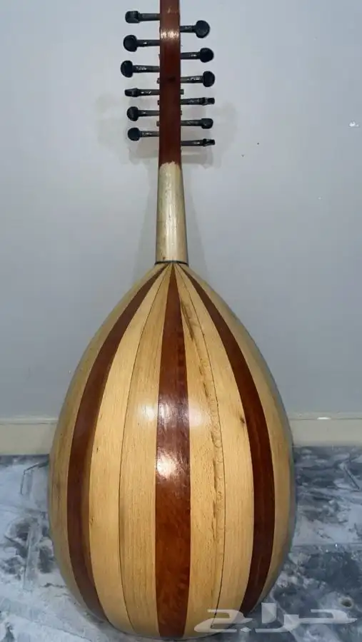 عود تعليمي 2