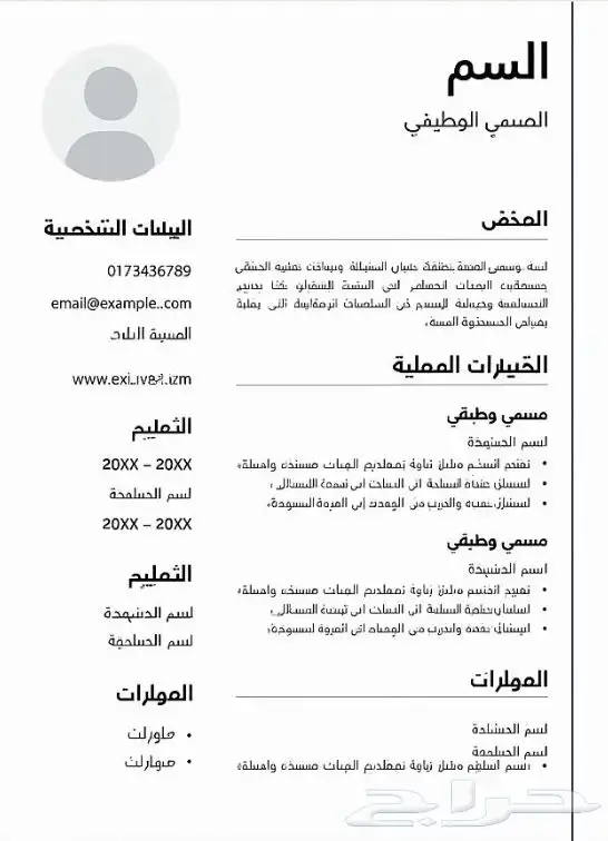 تصميم وكتابة سيرة ذاتية احترافية (CV) 1