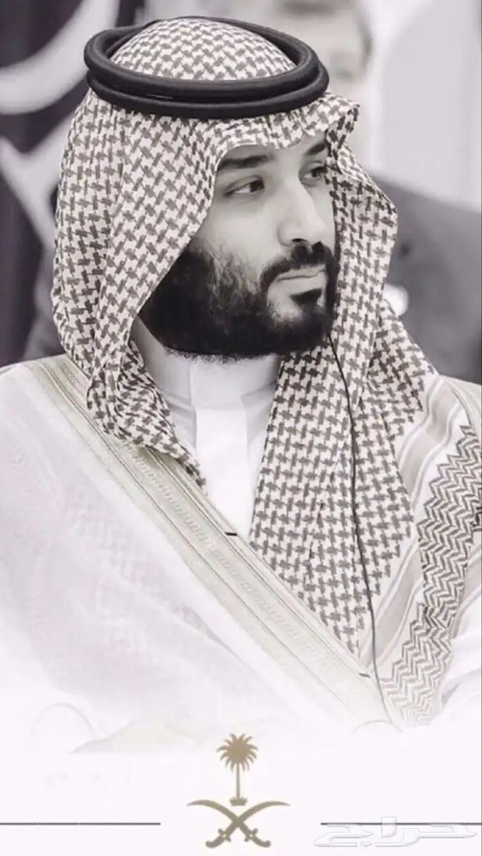 شريك مشروع 0