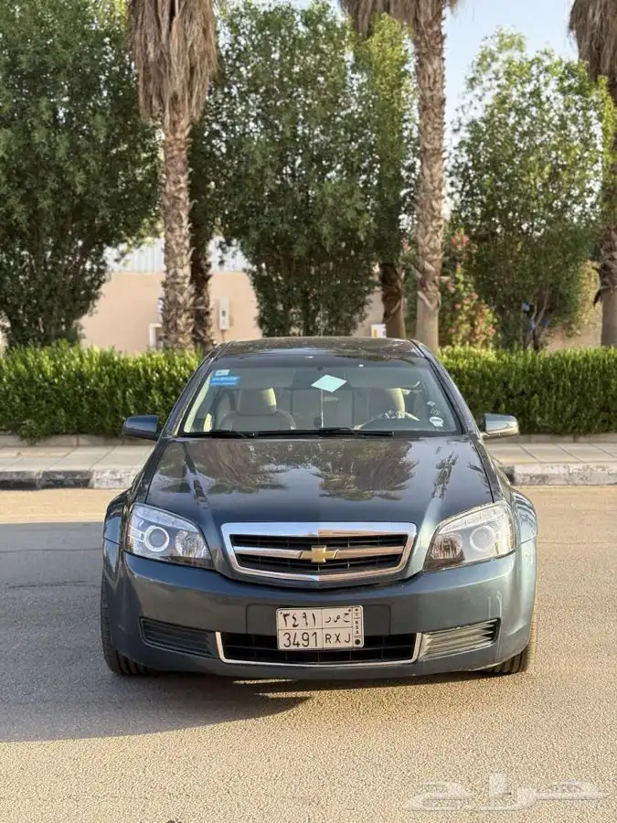 كابرس 2014 2