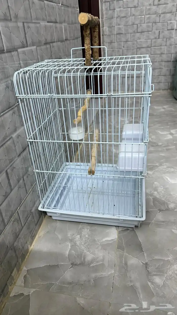قفص كبير شبك 2