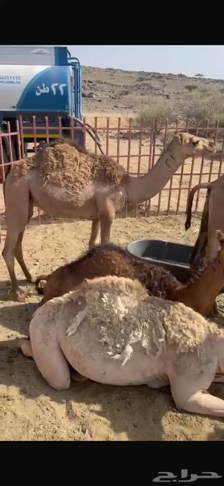 حشوان بر ومشروطه 1
