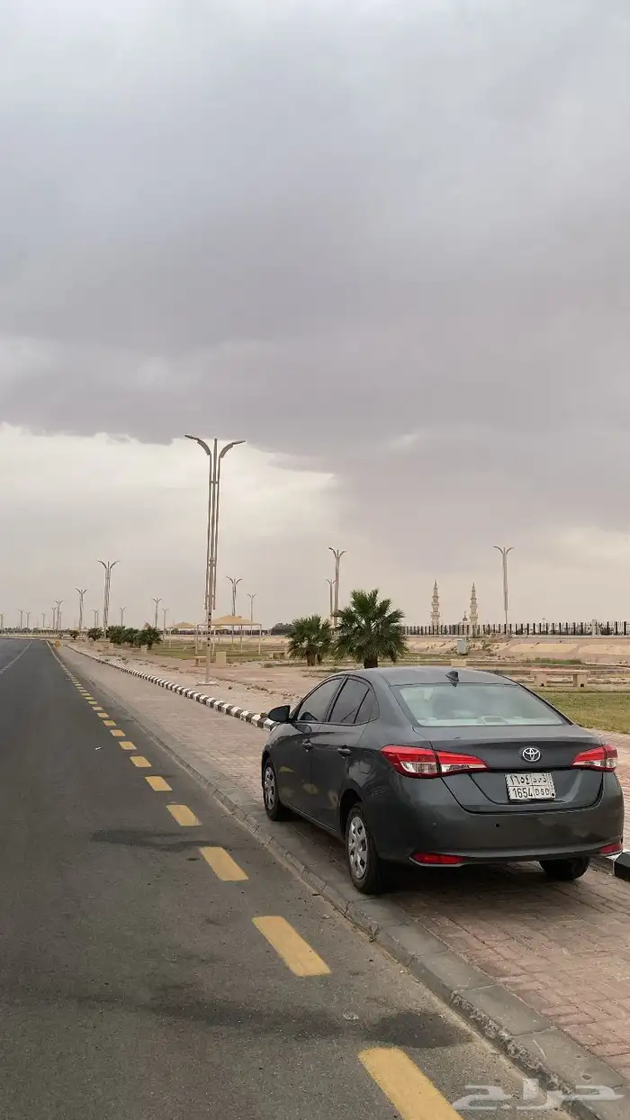 يارس2019 14