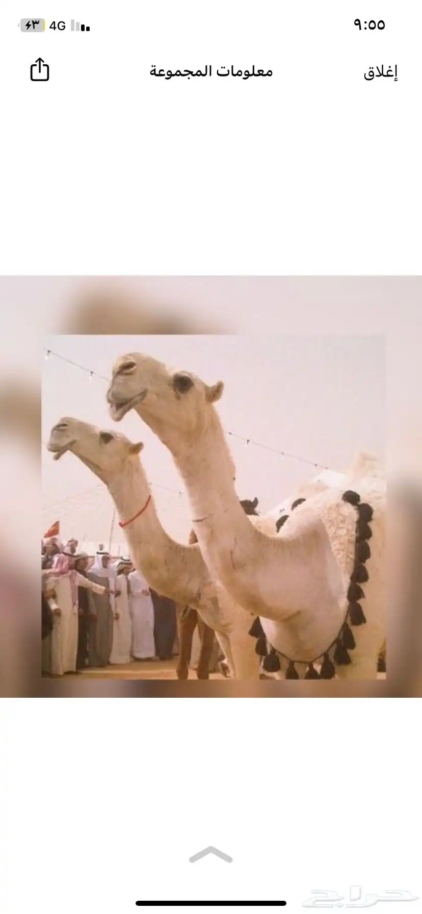 ضرايب خلفات 0
