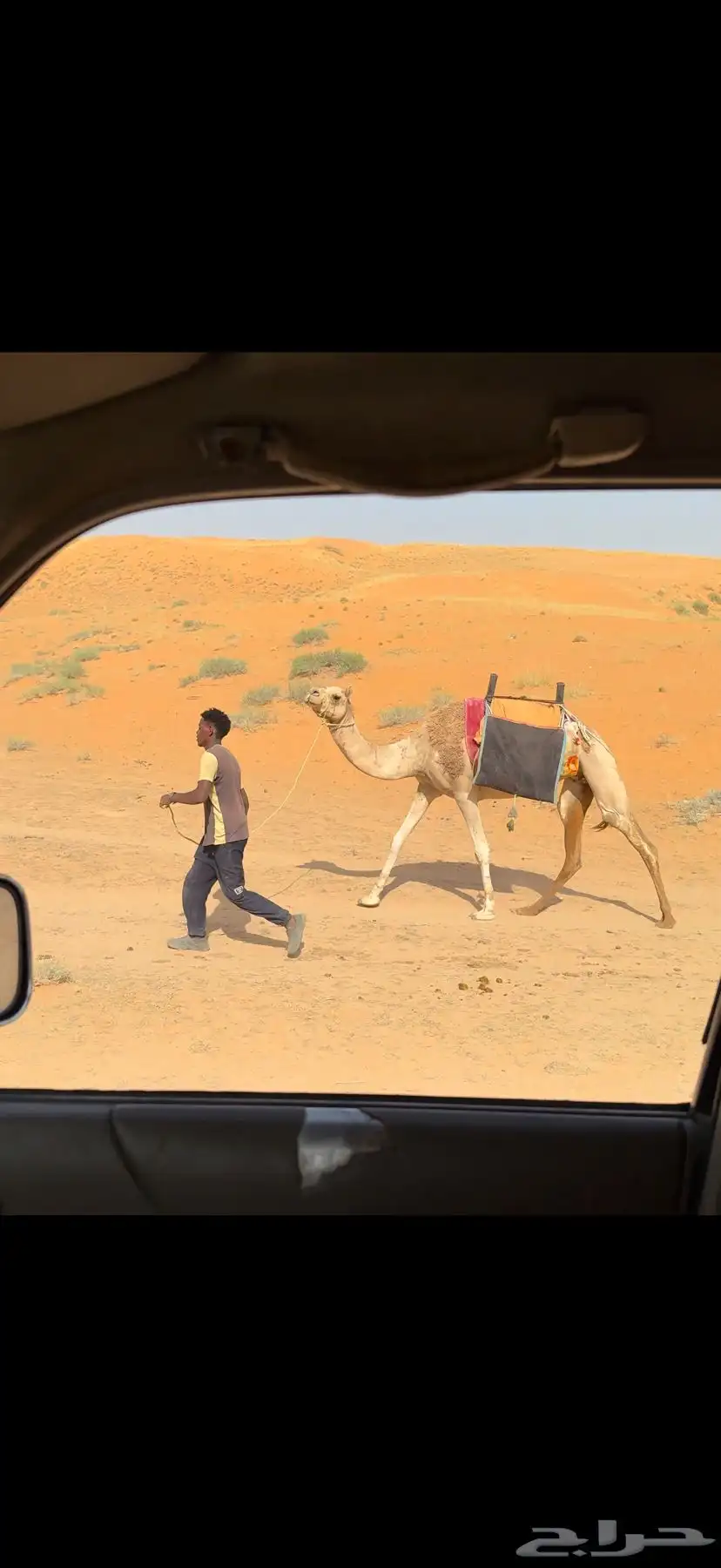رحول حمراء 2