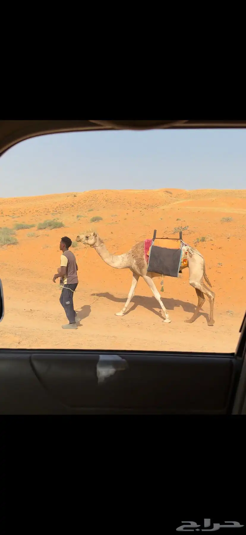 رحول حمراء 5