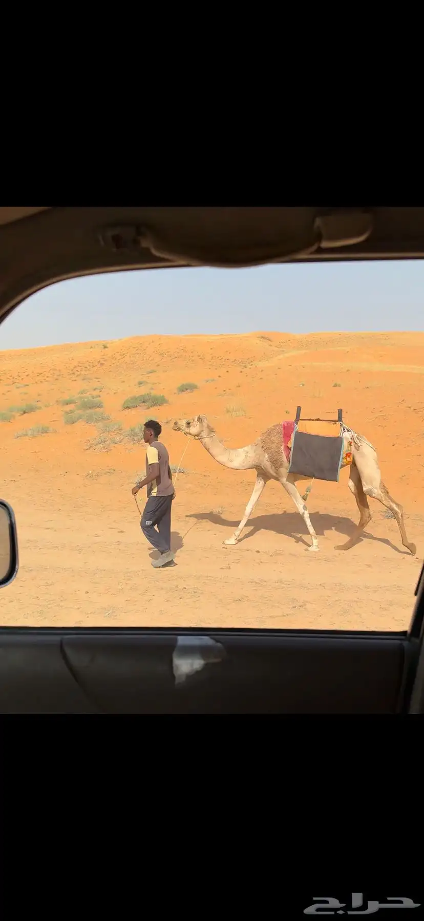 رحول حمراء 3