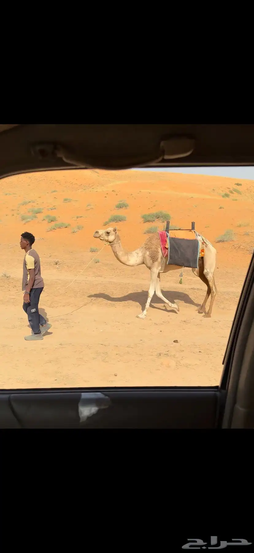 رحول حمراء 1