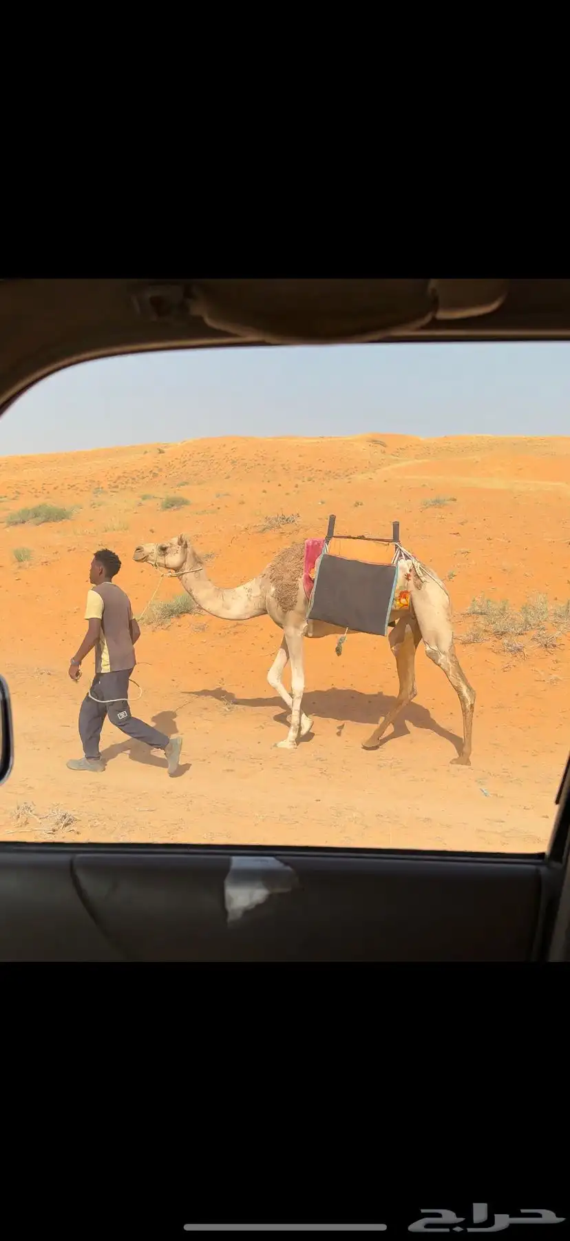 رحول حمراء 4