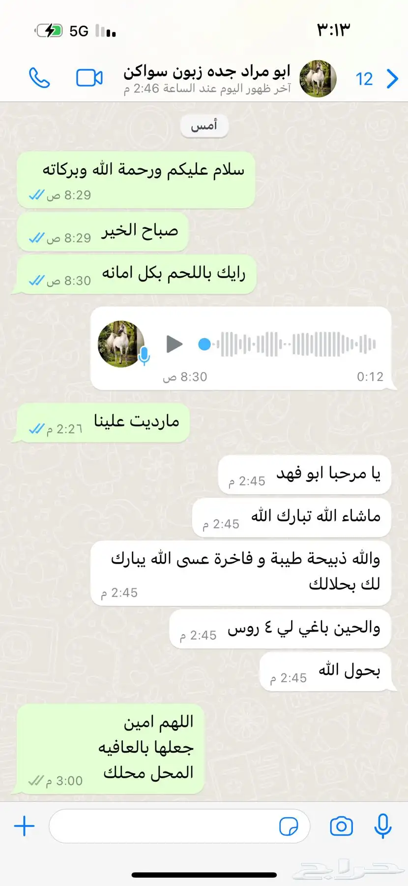 ذبائح سواكن 11