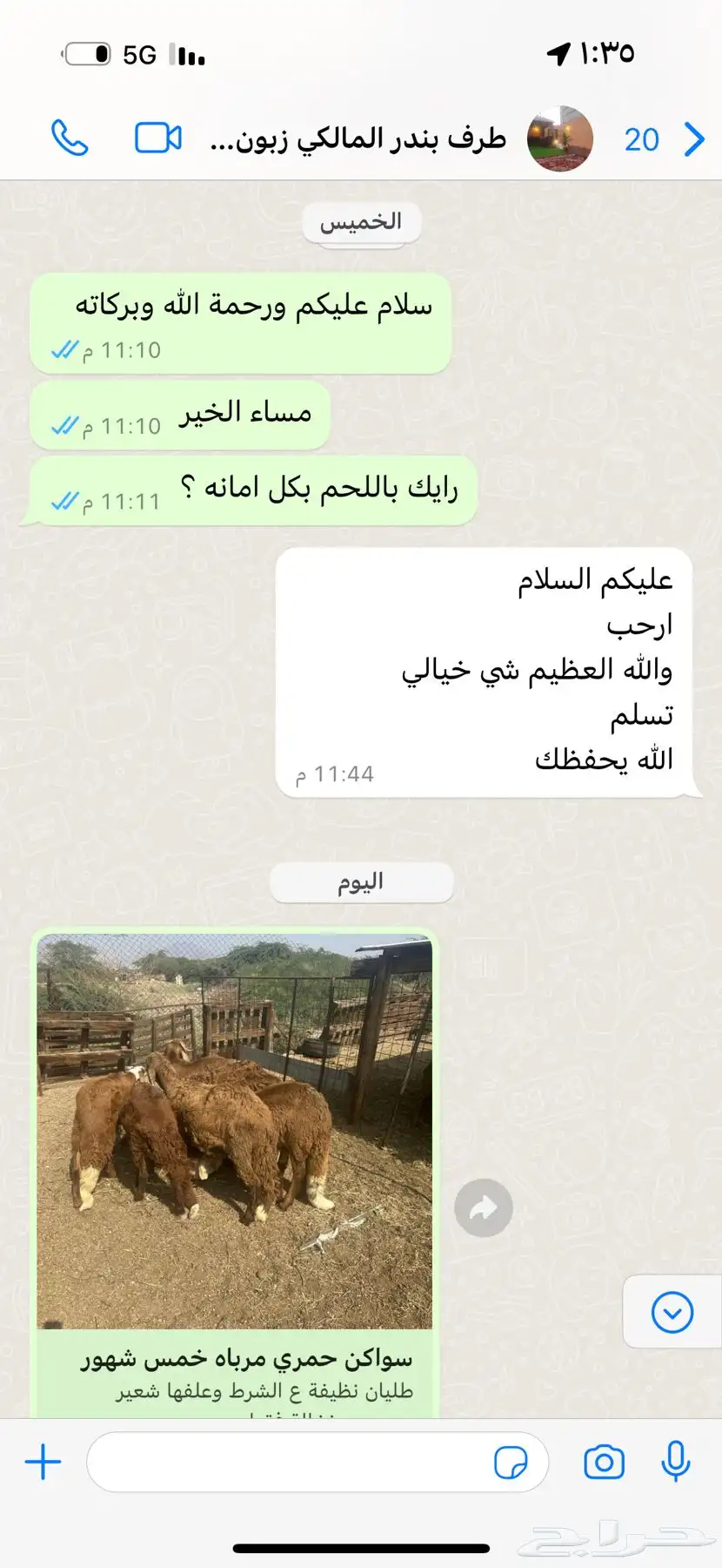 ذبائح سواكن 7