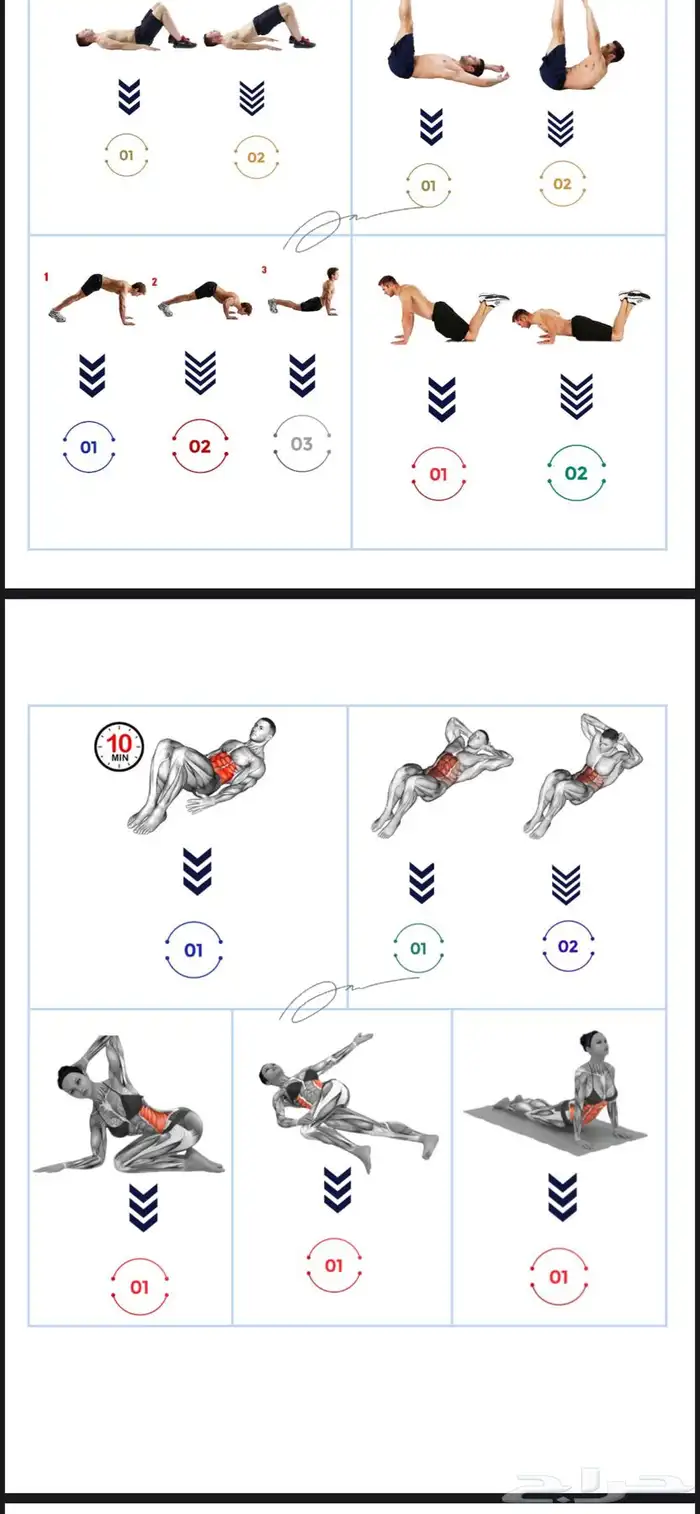 ملفات تمارين رياضة 0
