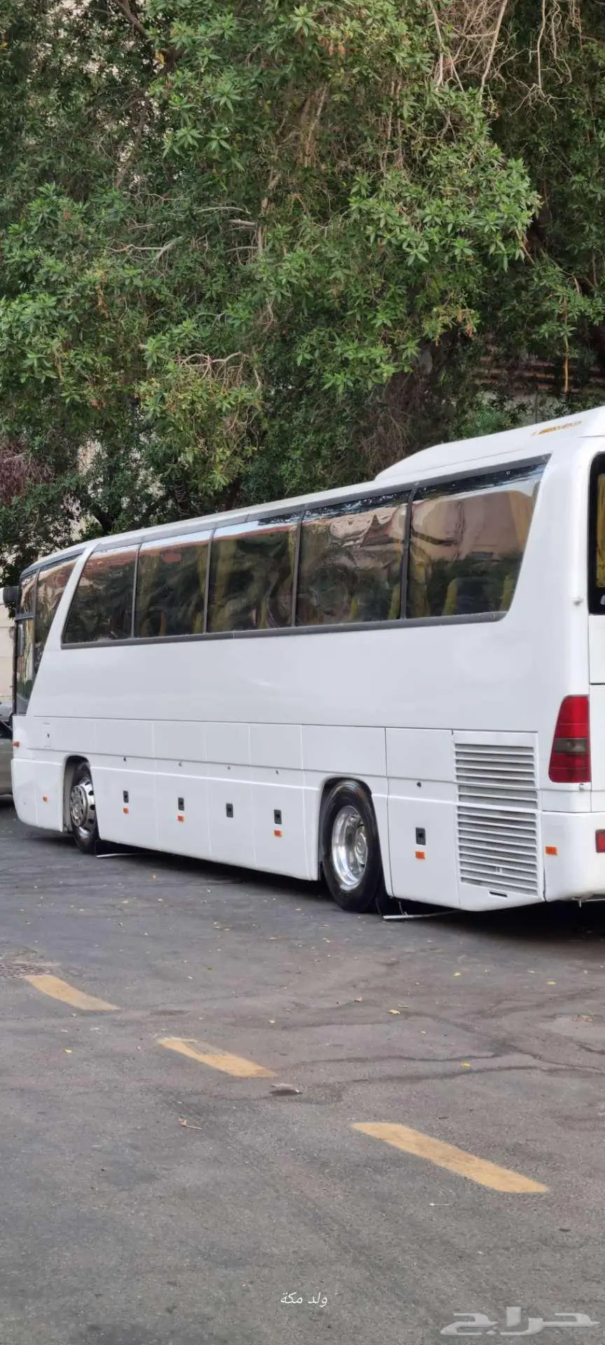 باص 50 راكب للاجار 1