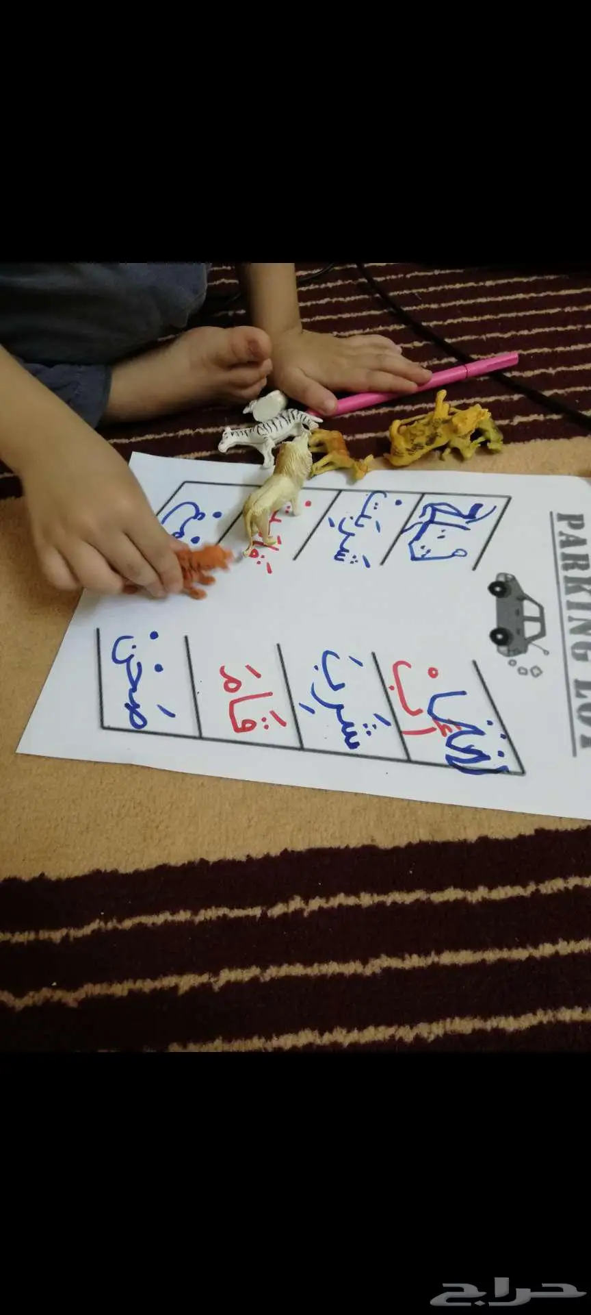 معلمة تأسيس وصفوف أولية 1