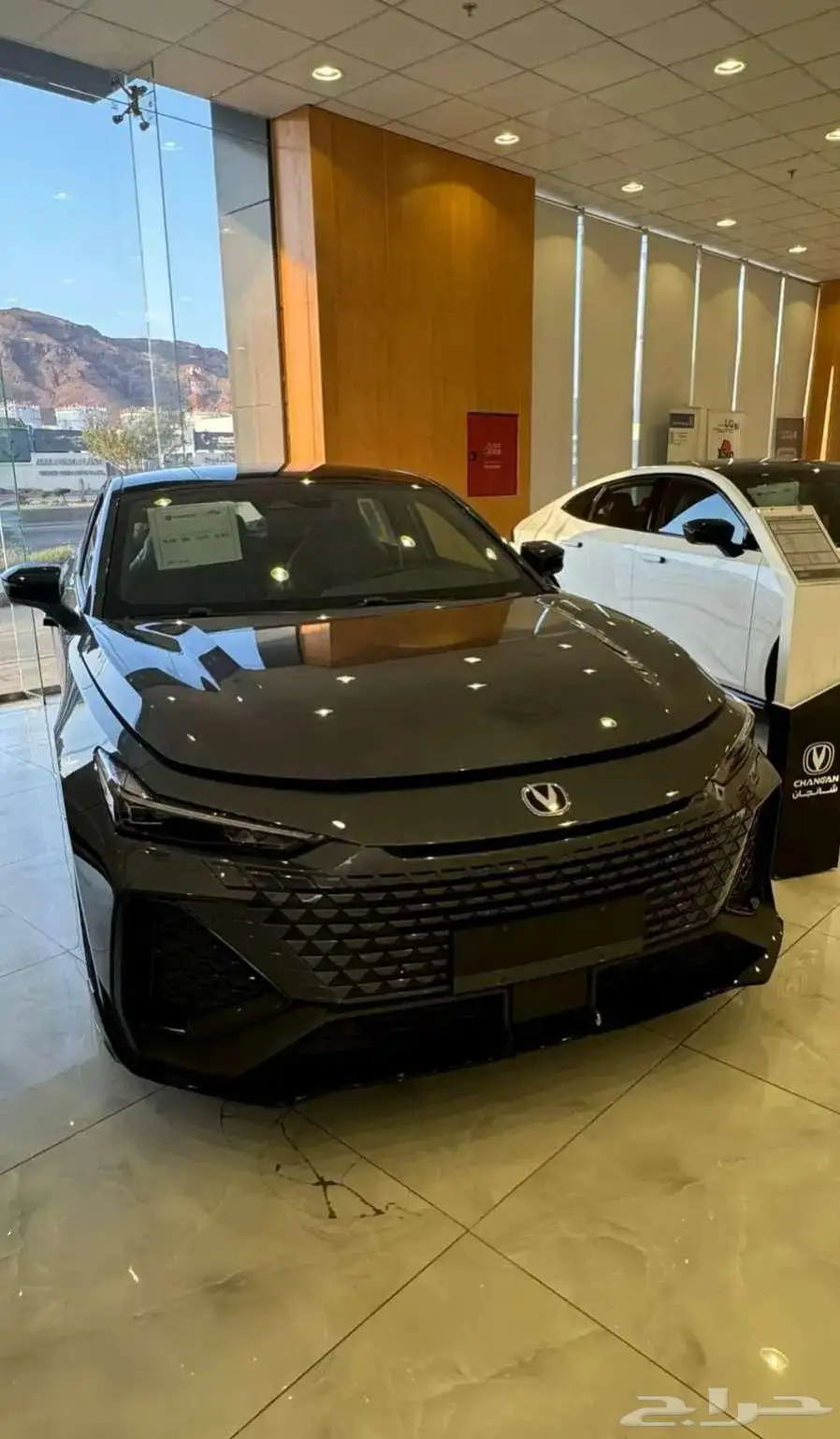 شانجان يونى فى سبورت 2025 5