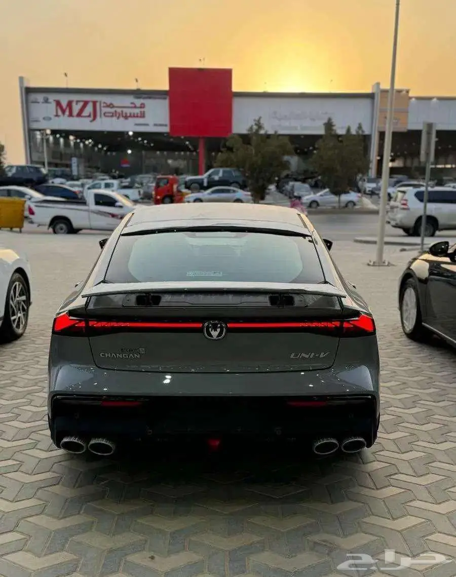 شانجان يونى فى سبورت 2025 19