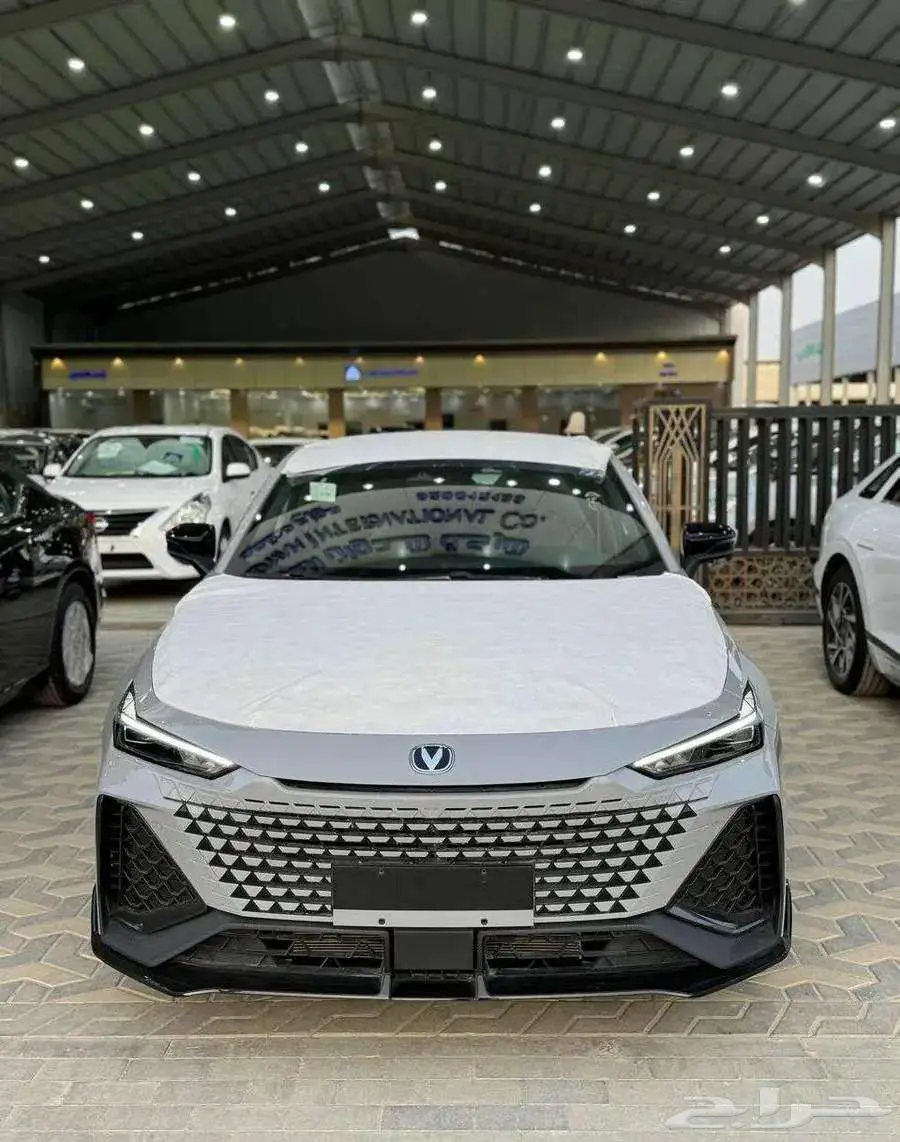 شانجان يونى فى سبورت 2025 1