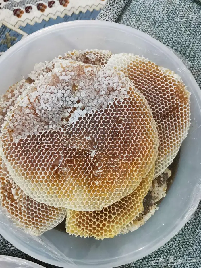 عسل شوكة جديد 1447 3