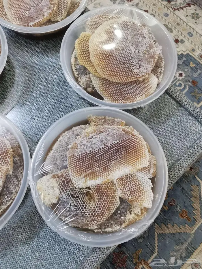 عسل شوكة جديد 1447 1