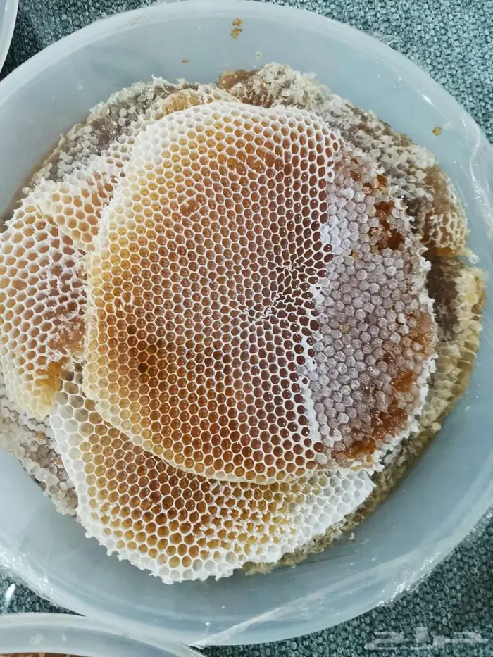 عسل شوكة جديد 1447 11