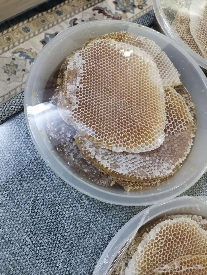 عسل شوكة جديد 1447 12