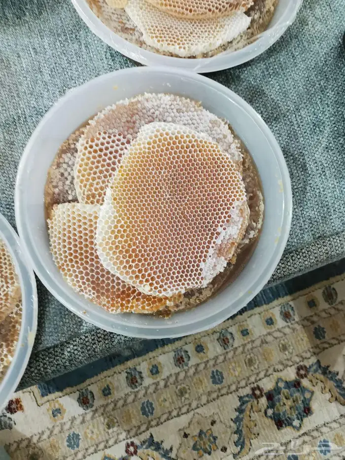 عسل شوكة جديد 1447 9