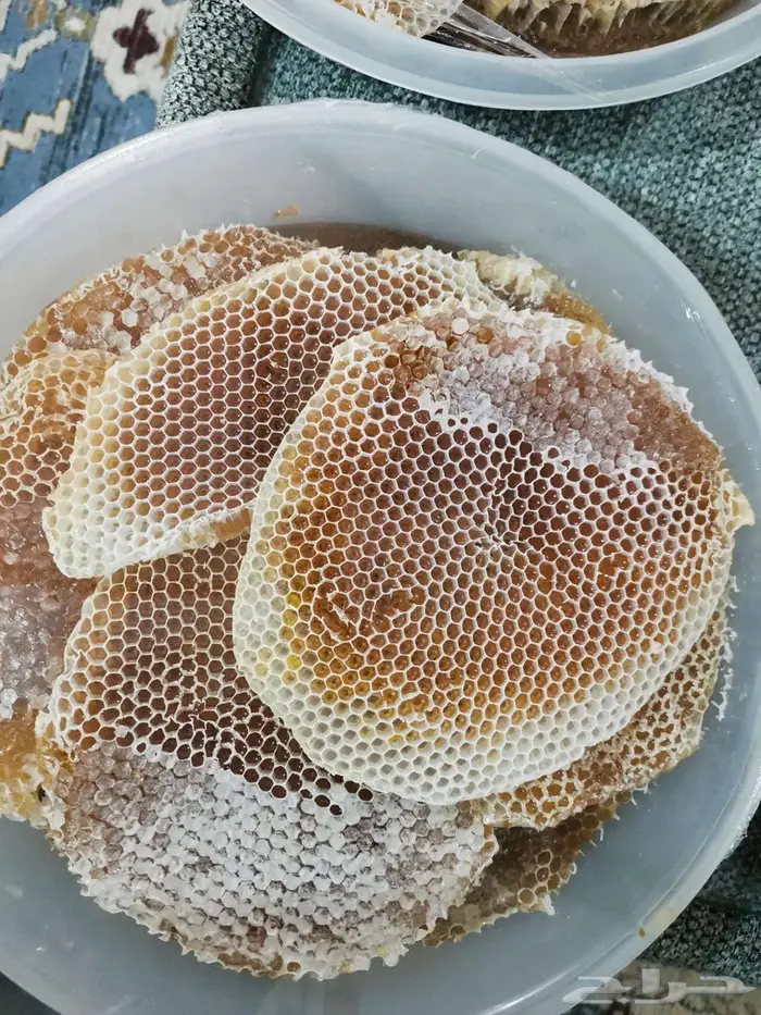 عسل شوكة جديد 1447 8