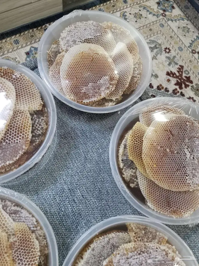 عسل شوكة جديد 1447 7