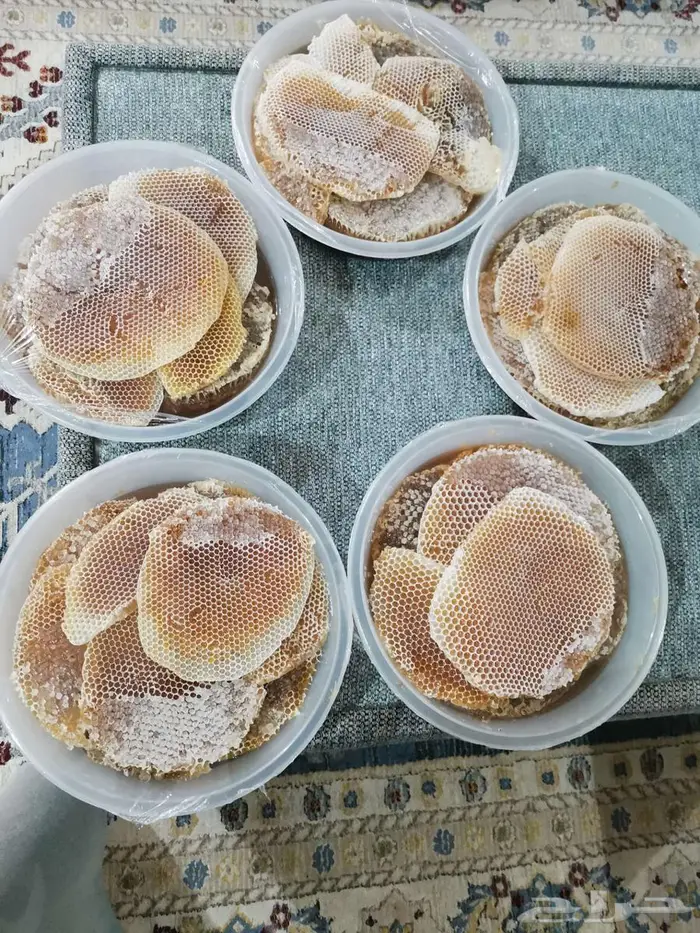 عسل شوكة جديد 1447 6