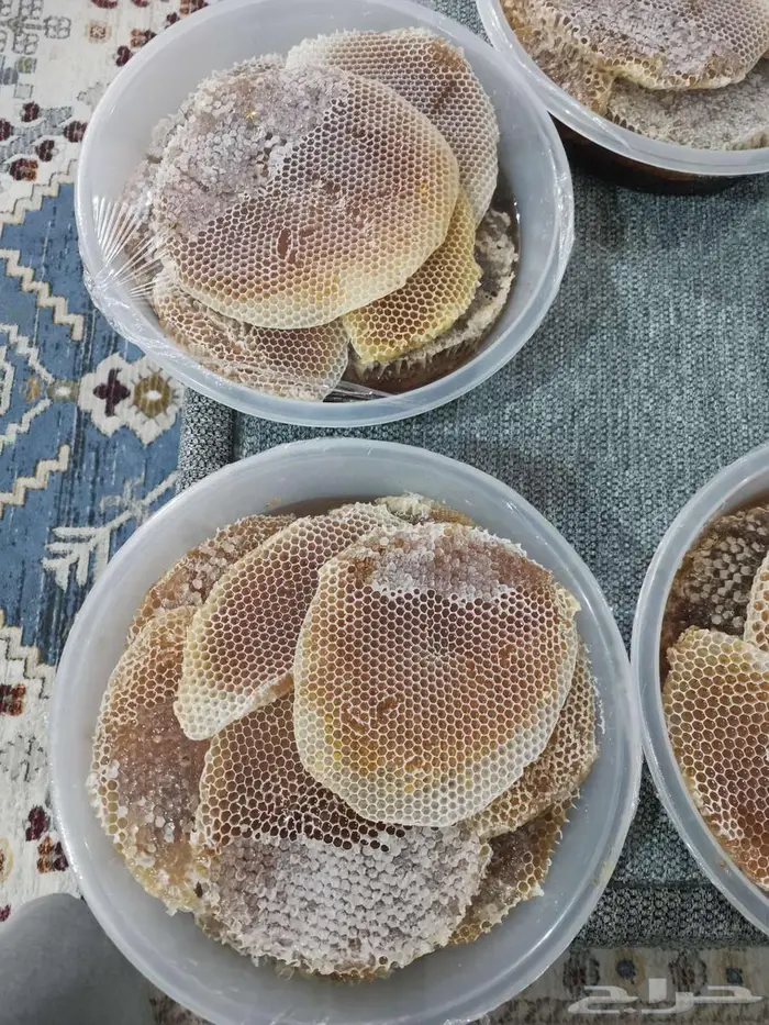 عسل شوكة جديد 1447 5